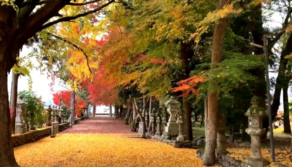 積田神社　紅葉